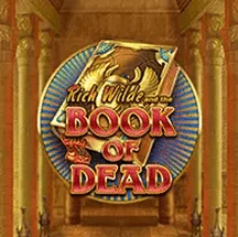 Book of Dead at 20Bet South Africa